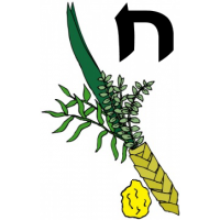 Chinuch (Standard) Set